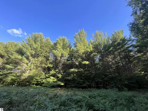 11856 Red Hawk, Fife Lake, MI 49633