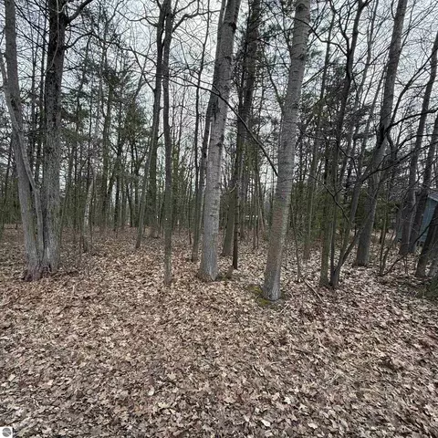 Gaston Way, Oscoda, MI 48750