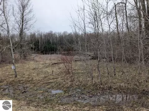 00 Lakeview Dr, Hale, MI 48739