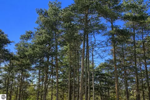 8832 Cedar Creek Dr, Petoskey, MI 49770