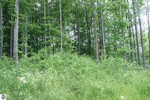 8877 Cedar Creek Dr, Petoskey, MI 49770
