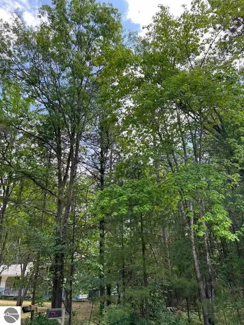 Helen Drive, Grayling, MI 49738 photo 4
