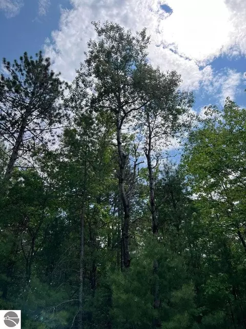 Helen Drive, Grayling, MI 49738 photo 3