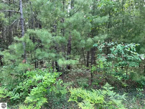 Helen Drive, Grayling, MI 49738 photo 2