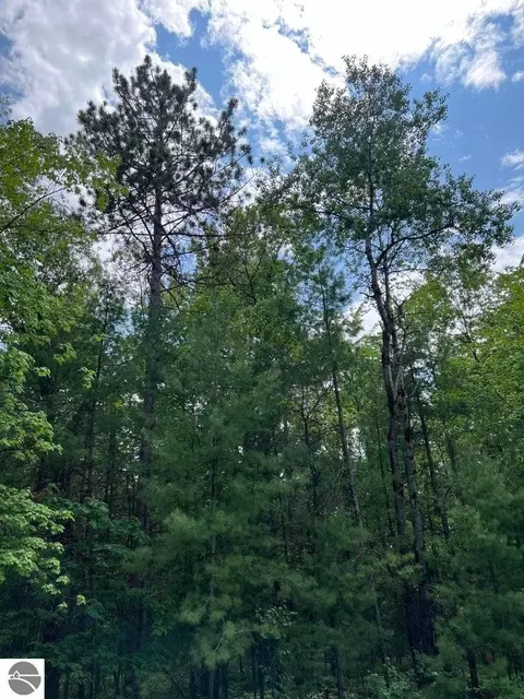 Helen Drive, Grayling, MI 49738 photo 9