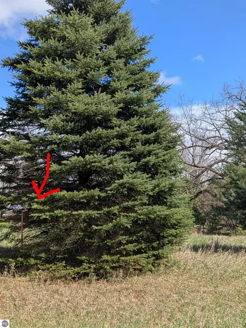 1003 Kent St, Lake Isabella, MI 48893