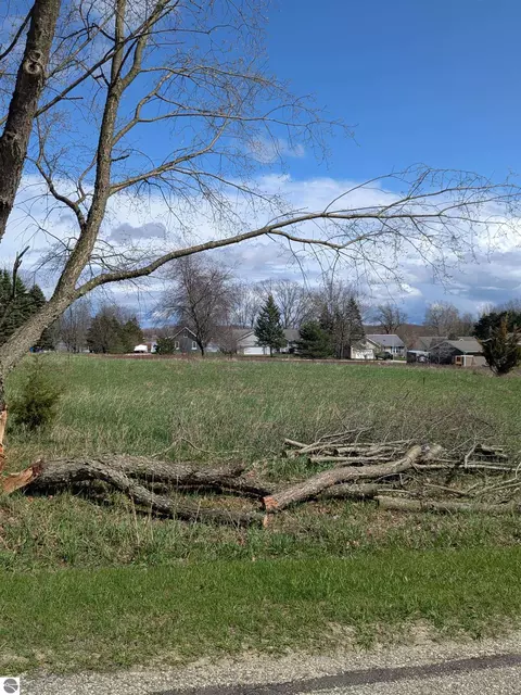 1009 Kent St, Lake Isabella, MI 48893