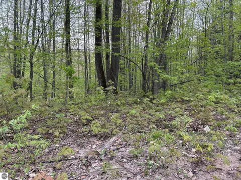 Lost Lake Road, Beulah, MI 49617