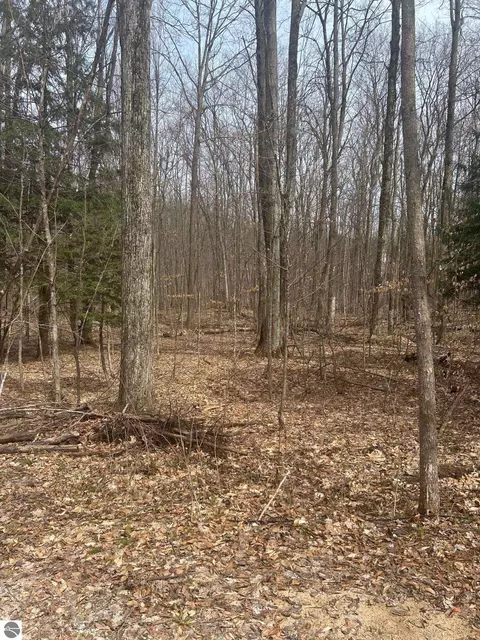 Lost Lake Road, Beulah, MI 49617