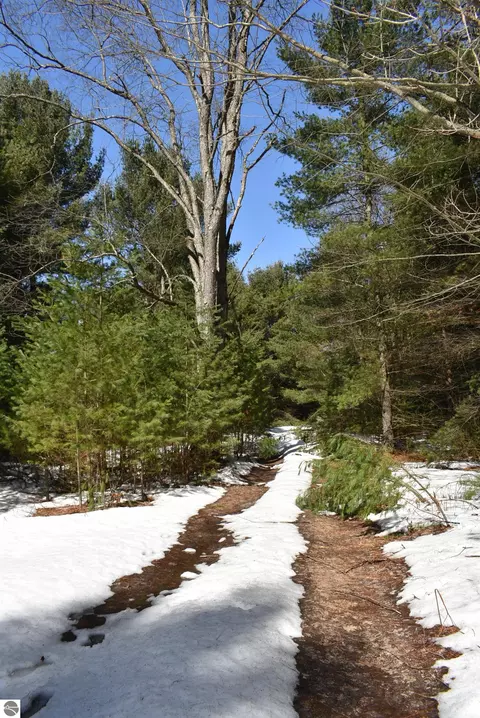 Roop Road, Kingsley, MI 49649