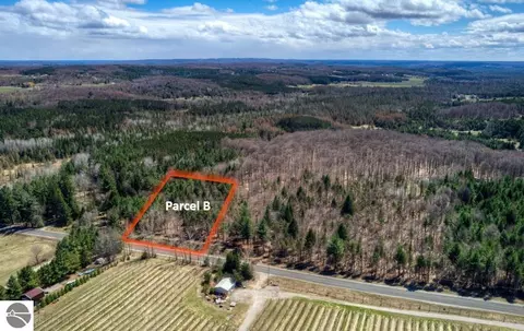 Parcel B E Bodus Road, Cedar, MI 49621