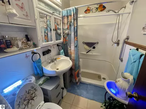 Bath - 3557 Coveview Dr, Lupton, MI 48635 photo 2 of 2