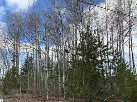 2450 N Marshall Rd, Honor, MI 49640