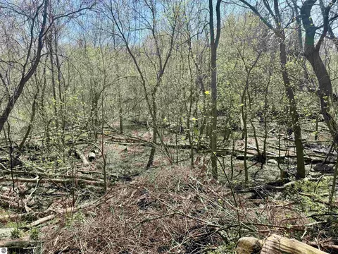 11000 Riverside Dr, Saint Louis, MI 48880