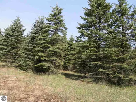 4 Spruce Hollow Trce, Fife Lake, MI 49633