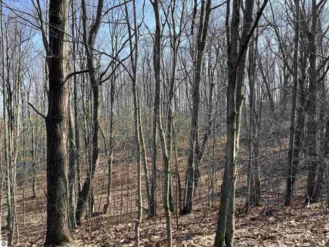Deerfield Trail, Boyne Falls, MI 49713