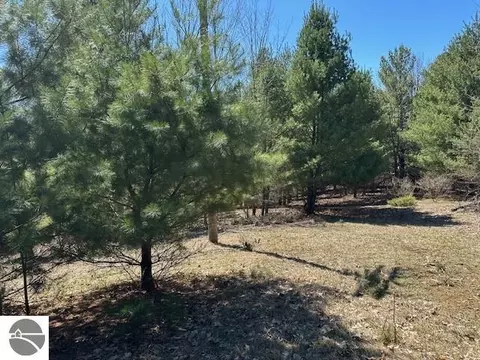 lot S B C Se Torch Lake Dr, Bellaire, MI 49615