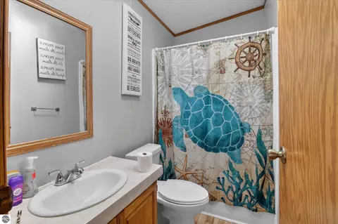Bath - 4537 N Caris Rd, Edmore, MI 48829 photo 4 of 4