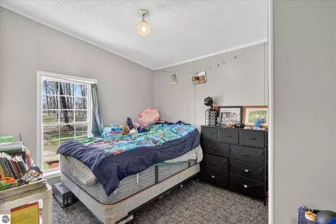Bedroom - 4537 N Caris Rd, Edmore, MI 48829 photo 4 of 4