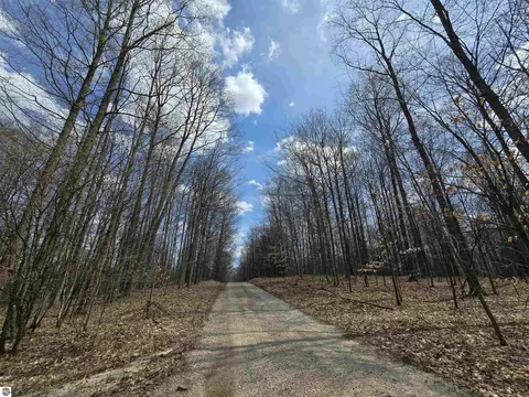 00 W 20 Rd, Mesick, MI 49668