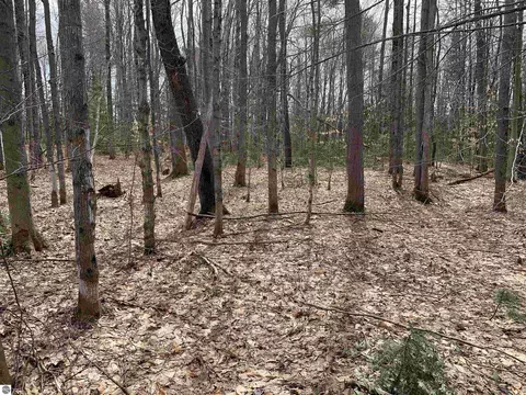 8222 NE Bass Ave, Kalkaska, MI 49646