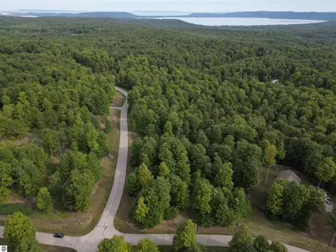 11 W Timber View Trl, Empire, MI 49630
