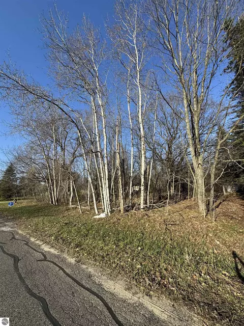3603 Cecil Rd, Cadillac, MI 49601