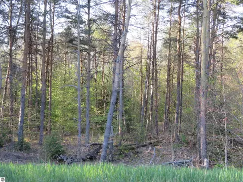 **** Poneytail Trail, Petoskey, MI 49770