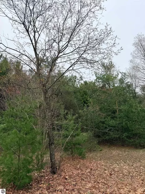 02 Woodland Trl, Traverse City, MI 49684