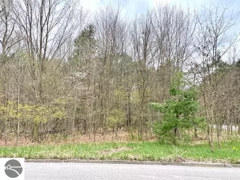 00 Brook Ave, Kaleva, MI 49645 photo 3