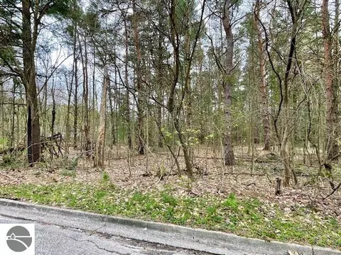 00 Brook Ave, Kaleva, MI 49645 photo 7