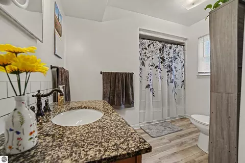 Bath - 232 S Gwinner St, Ithaca, MI 48847 photo 2 of 3
