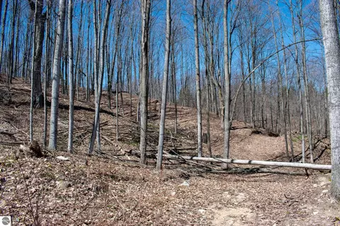 0 E Smiseth Rd, Suttons Bay, MI 49682 photo 30