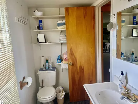Bath - 2298 W Hayes Rd, Ithaca, MI 48847 photo 3 of 7