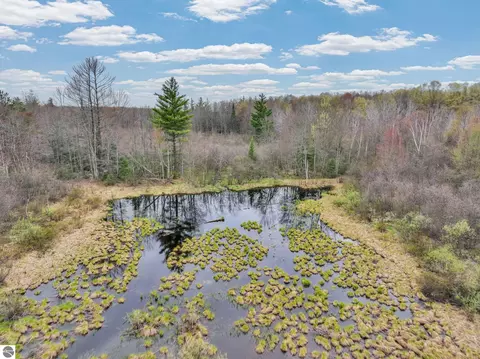 View/Area - 712 E 38 Rd, Cadillac, MI 49601 photo 3 of 12