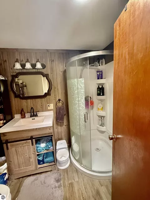 Bath - 742 E Van Buren Rd, Alma, MI 48801 photo 4 of 5