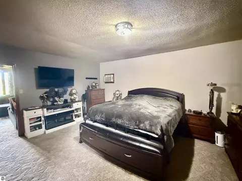 Bedroom - 742 E Van Buren Rd, Alma, MI 48801 photo 2 of 4