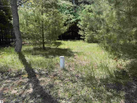 Exterior - 7274 S Forward, Mcbain, MI 49657 photo 12 of 16