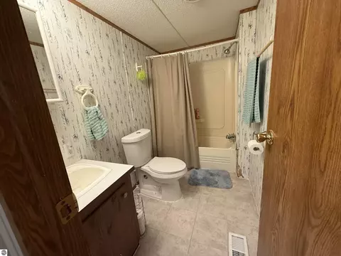 Bath - 7274 S Forward, Mcbain, MI 49657 photo 6 of 6