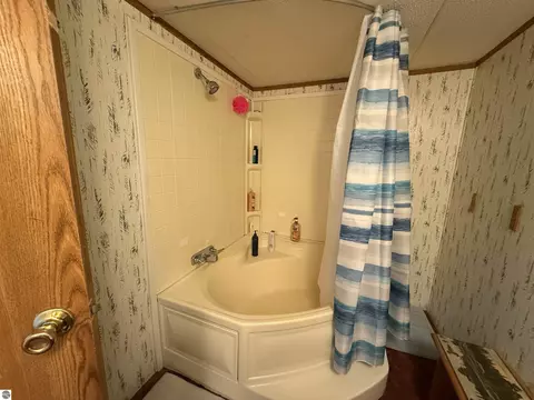 Bath - 7274 S Forward, Mcbain, MI 49657 photo 2 of 6