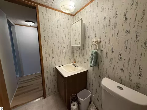 Bath - 7274 S Forward, Mcbain, MI 49657 photo 4 of 6