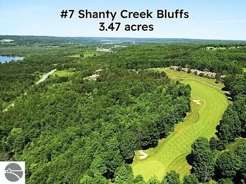 07 Creek Hill Dr, Bellaire, MI 49615