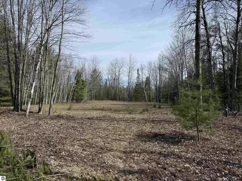 0 Michaud Rd, Mikado, MI 48745