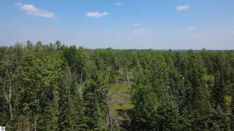 X Oleskie Trail, West Branch, MI 48661