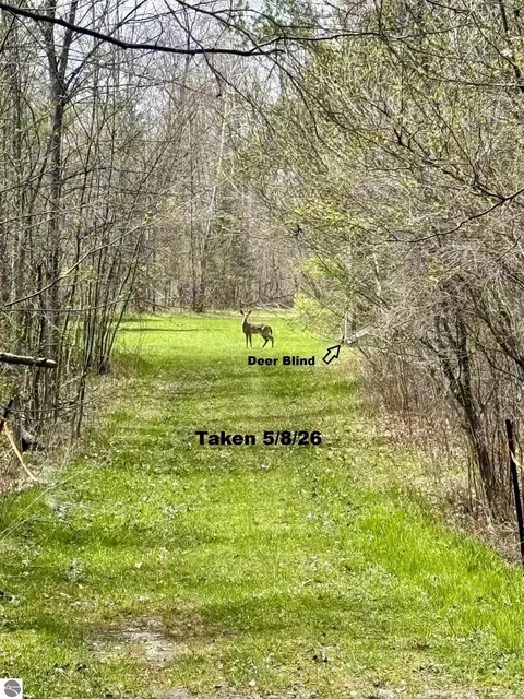 4921 E County Line Rd, Hale, MI 48739 photo 20