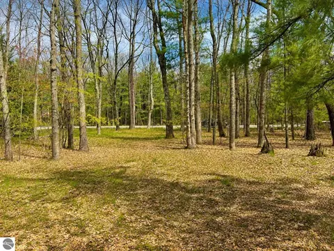 5302 Karlin Rd, Interlochen, MI 49643 photo 2