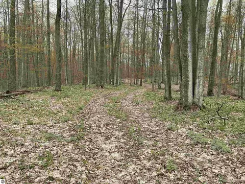 20 Acres Zimmerman Rd, Rapid City, MI 49676