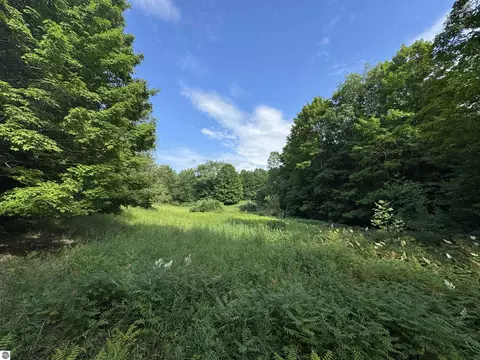 00 W Beeman Rd, Empire, MI 49630
