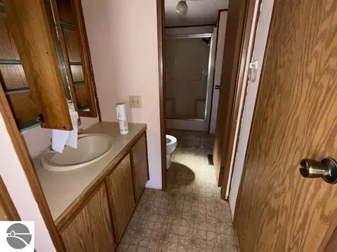 Bath - 559 Gitchegumee Dr, Buckley, MI 49620 photo 2 of 2