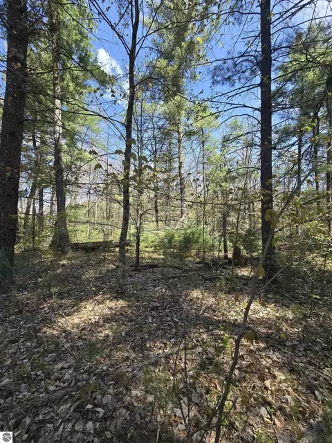 tbd S Locust Ave, White Cloud, MI 49349 photo 3